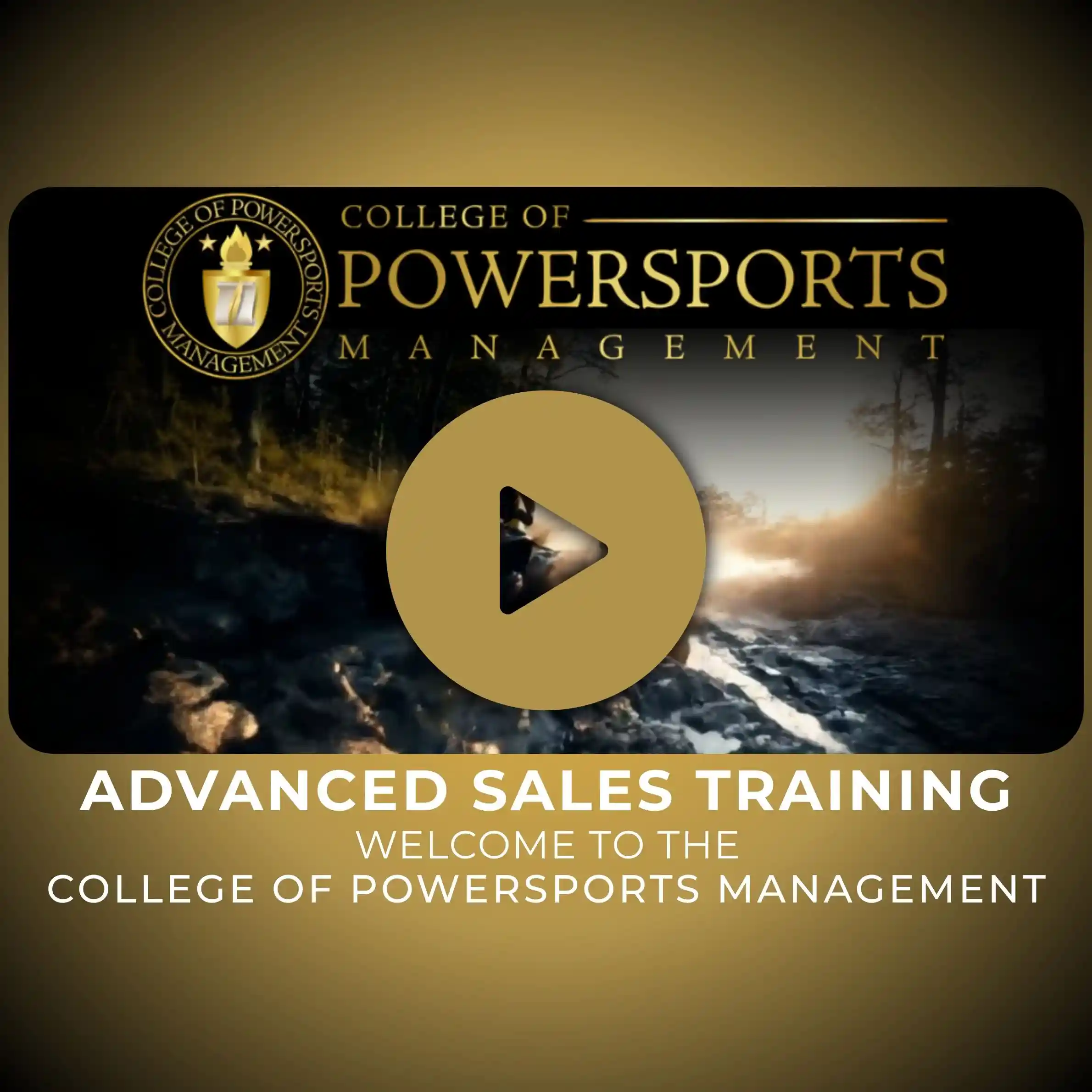Advanced<br>Professional Sales Training