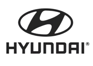 hyundai hires cam graduates