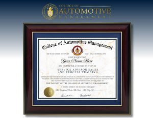 Service Advisor Sales and Process Training CAM