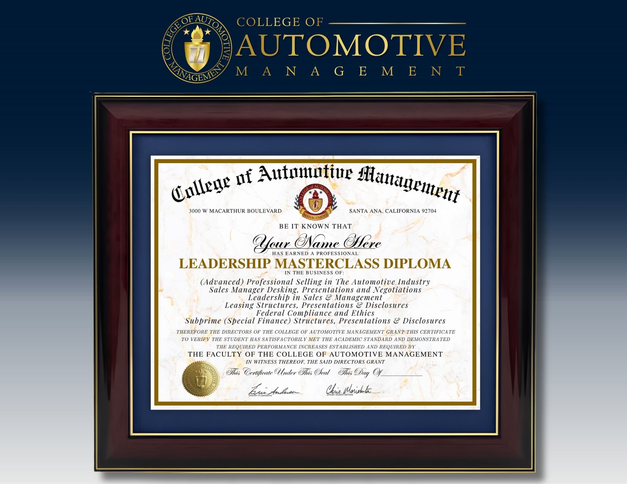 Sales management masterclass diploma CAM