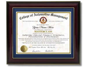 Subprime (Special Finance) Structures, Presentations & Disclosures MASTERCLASS CAM